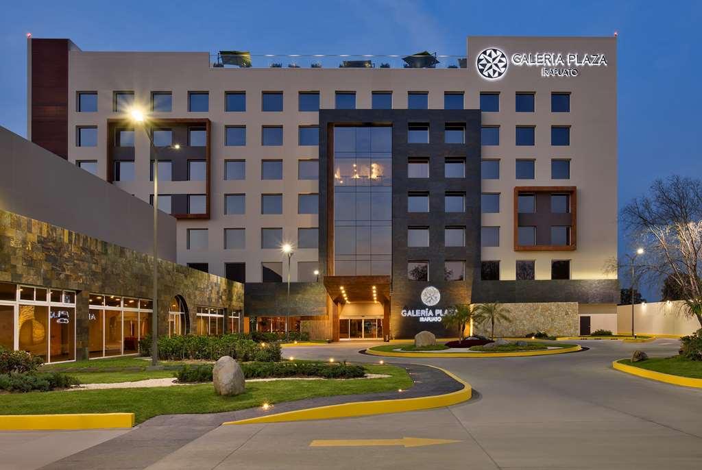 Hotel Galeria Plaza Irapuato Extérieur photo